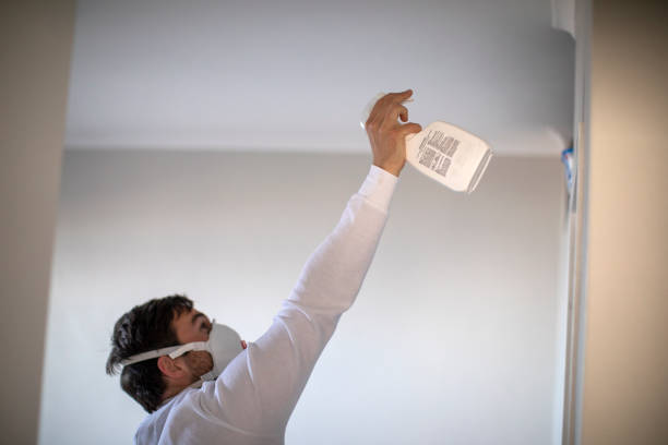 Professional Mold Removal in Lake Dalecarlia, IN