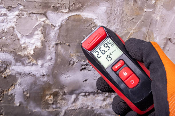 Best Professional Mold Removal  in Lake Dalecarlia, IN