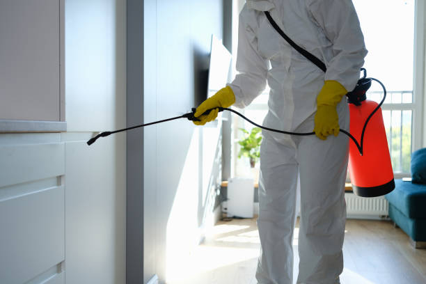 Best Mold Removal Company Near Me  in Lake Dalecarlia, IN